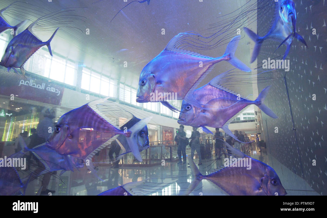 Transparent wall aquarium with beautiful fish in the Dubai Mall, the world's largest shopping center Stock Photo