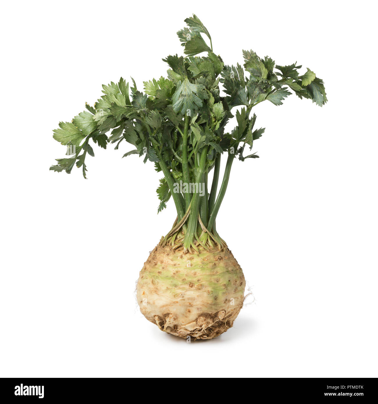 Fresh raw organic celery root and leaves isolated on white background Stock Photo