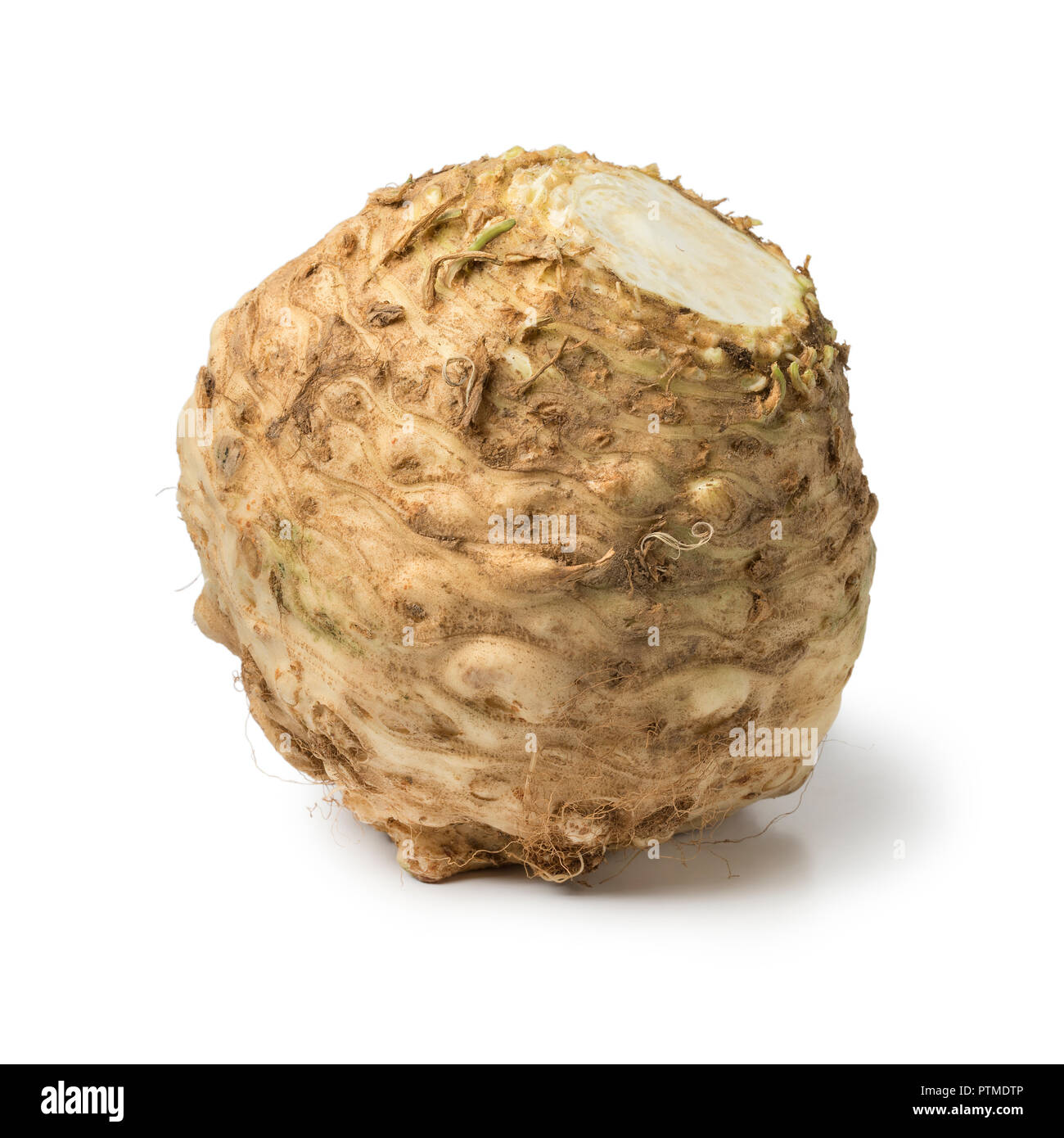 Fresh raw organic celery root isolated on white background Stock Photo