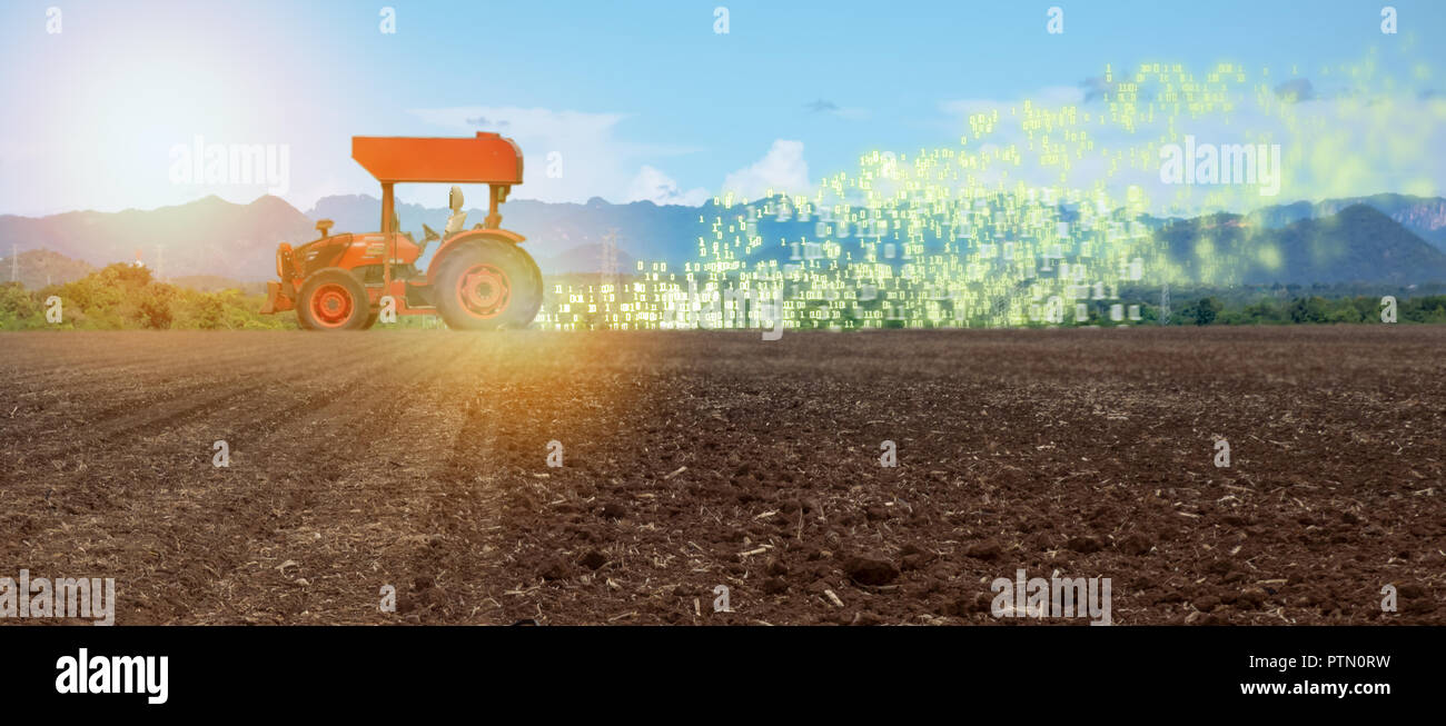 iot smart farming, agriculture in industry 4.0 technology with artificial intelligence and machine learning concept. it help to improve, categorized,  Stock Photo