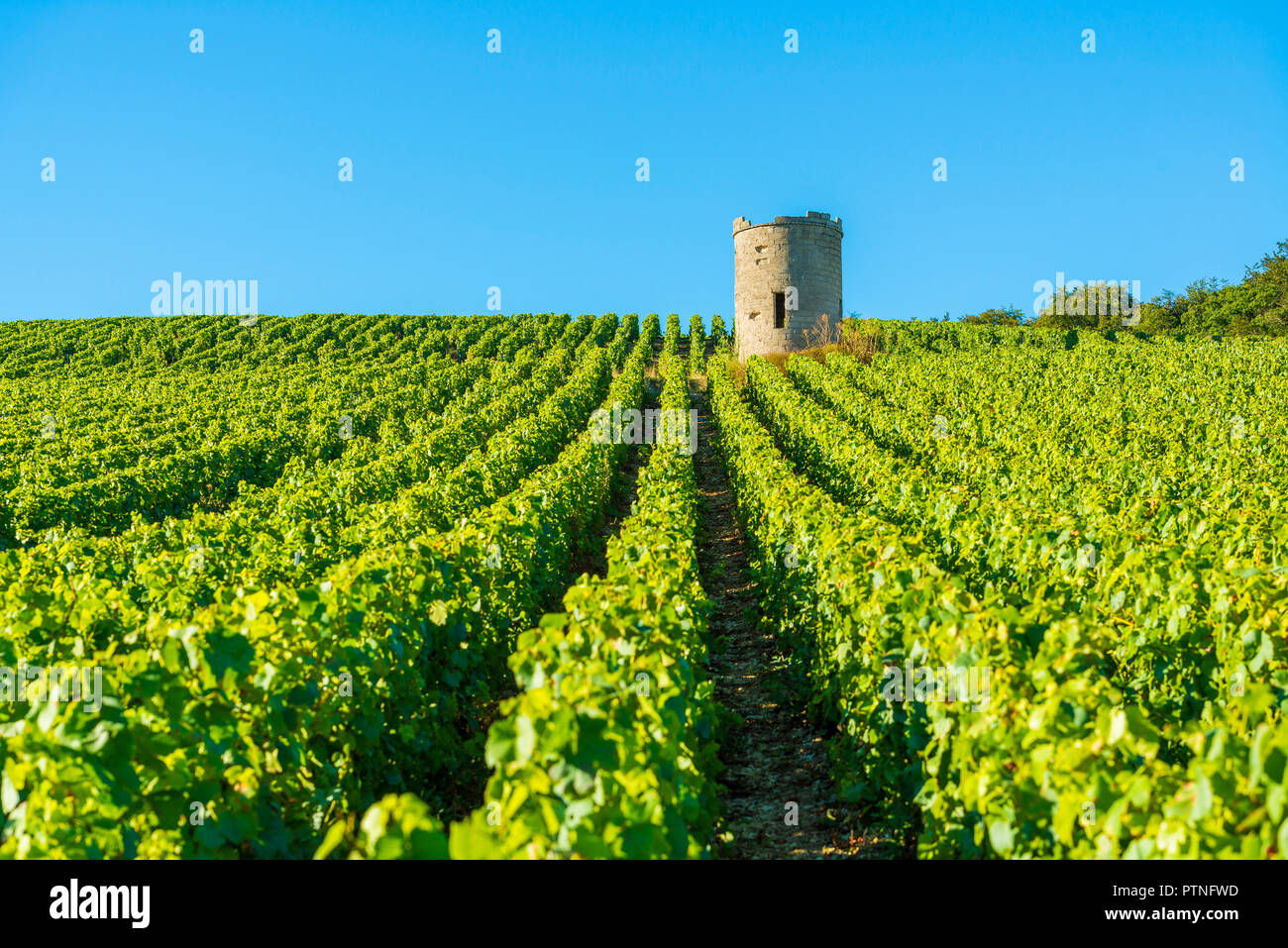 Bligny (north-eastern France).  The village is located in the middle of the wine-growing region Òcote des BarÓ (between Bar-sur-Aube and Bar-sur-Seine Stock Photo