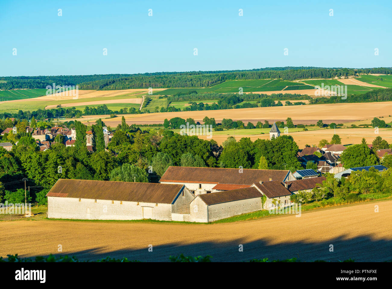 Bligny (north-eastern France).  The village is located in the middle of the wine-growing region “cote des Bar” (between Bar-sur-Aube and Bar-sur-Seine Stock Photo