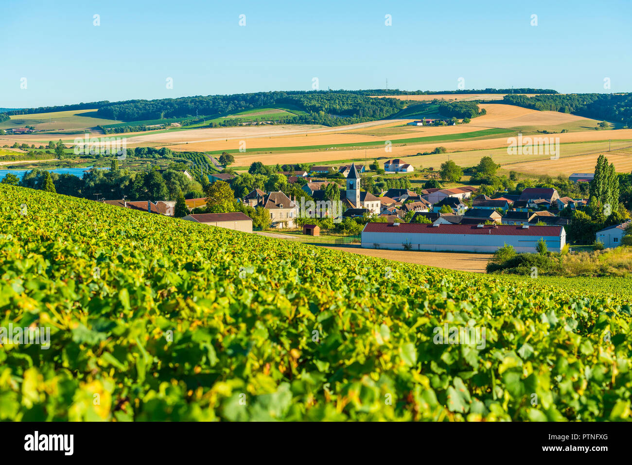 Bligny (north-eastern France).  The village is located in the middle of the wine-growing region “cote des Bar” (between Bar-sur-Aube and Bar-sur-Seine Stock Photo