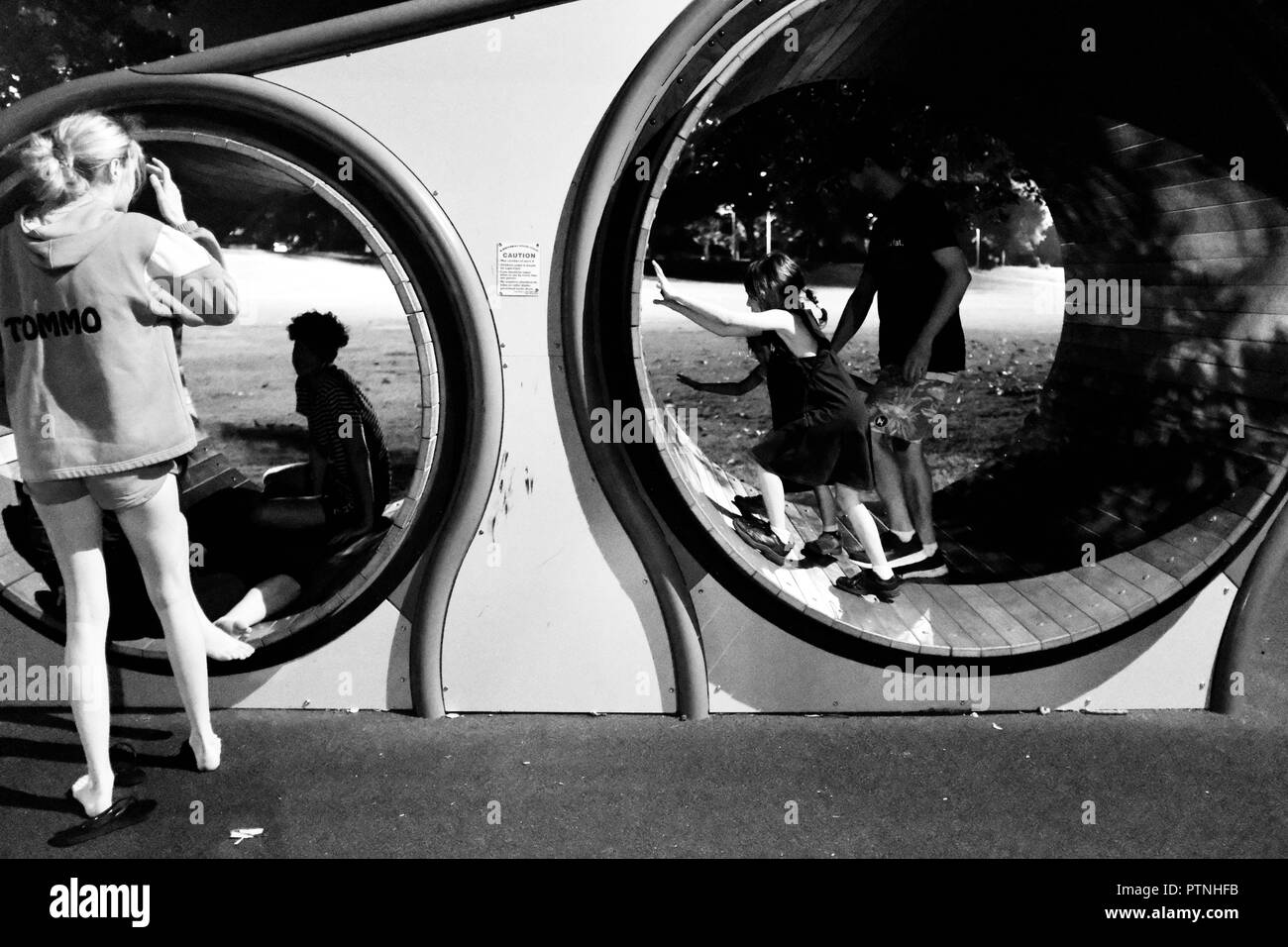 human sized hamster wheel