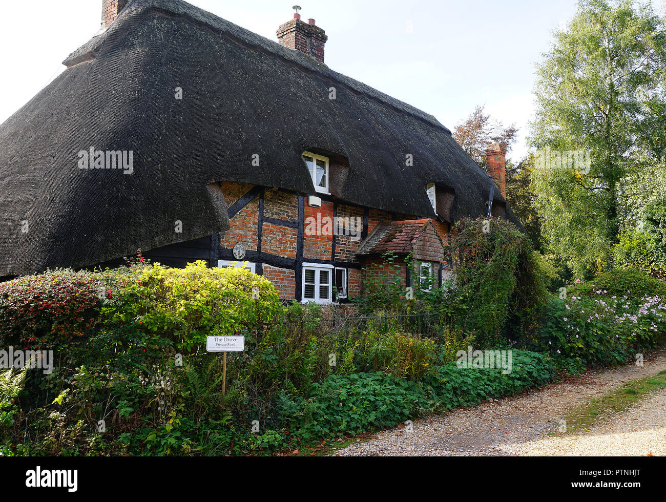 Thatched cottage at Dummer Stock Photo