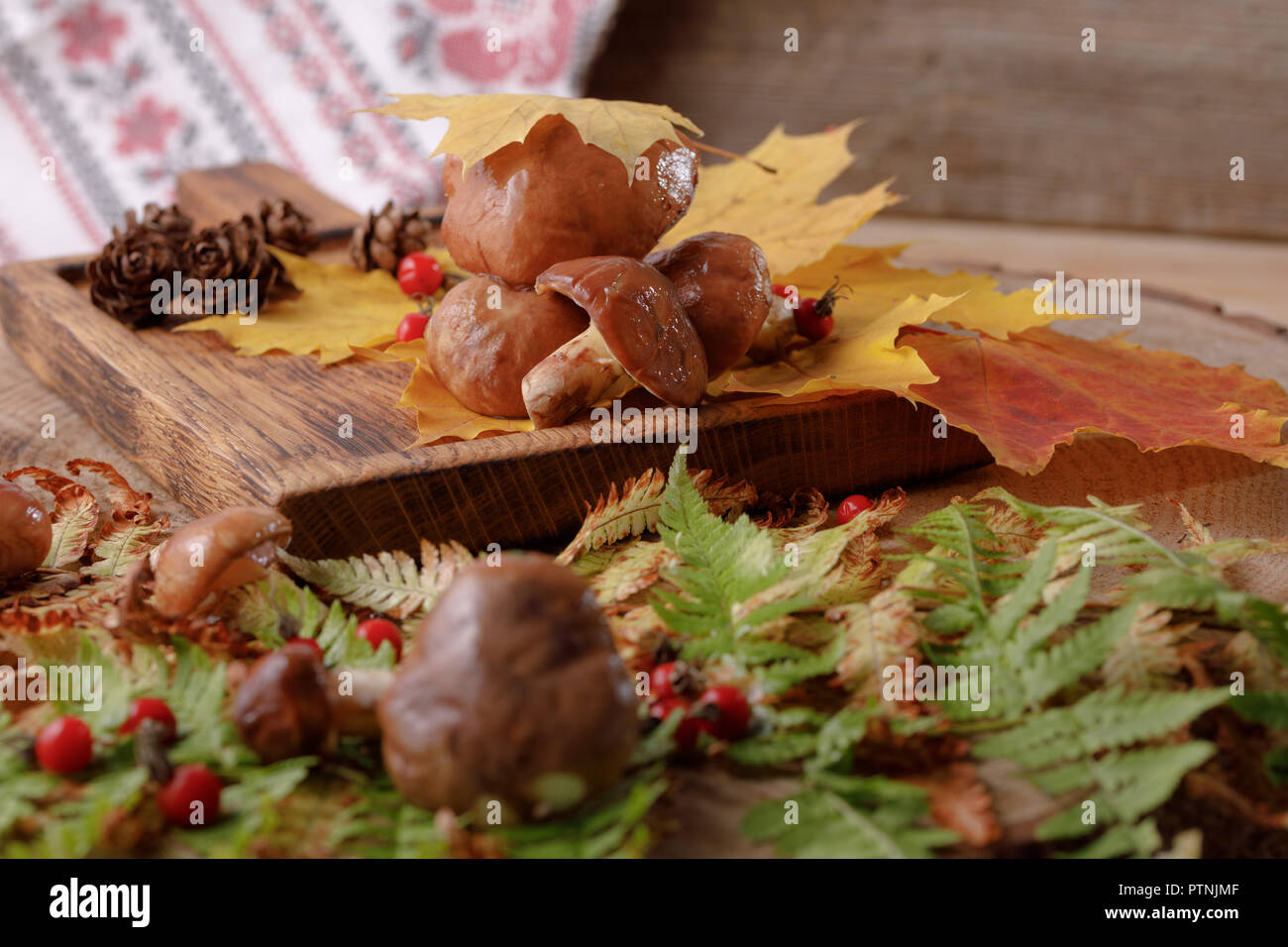 Autumn still life with mushrooms and leaves. Rustic. Stock Photo