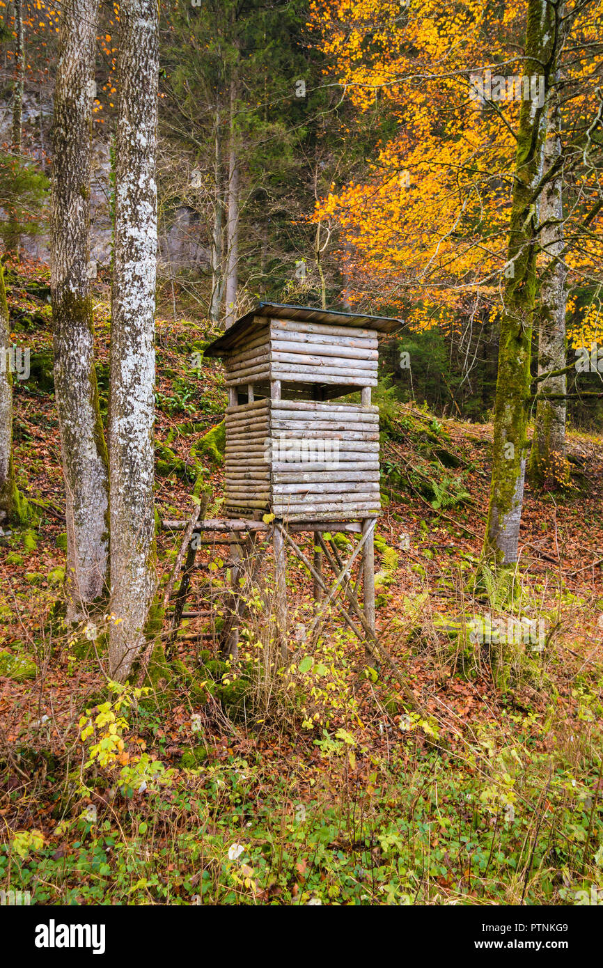 Wooden stable hunting blind (hunting hide) in an autumn forest on the edge of field. Stock Photo