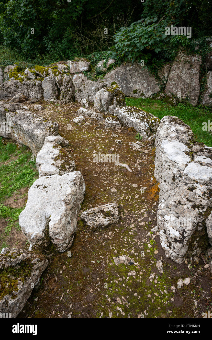 Din Lligwy Iron Age settlement on Anglesey, Wales, UK Stock Photo