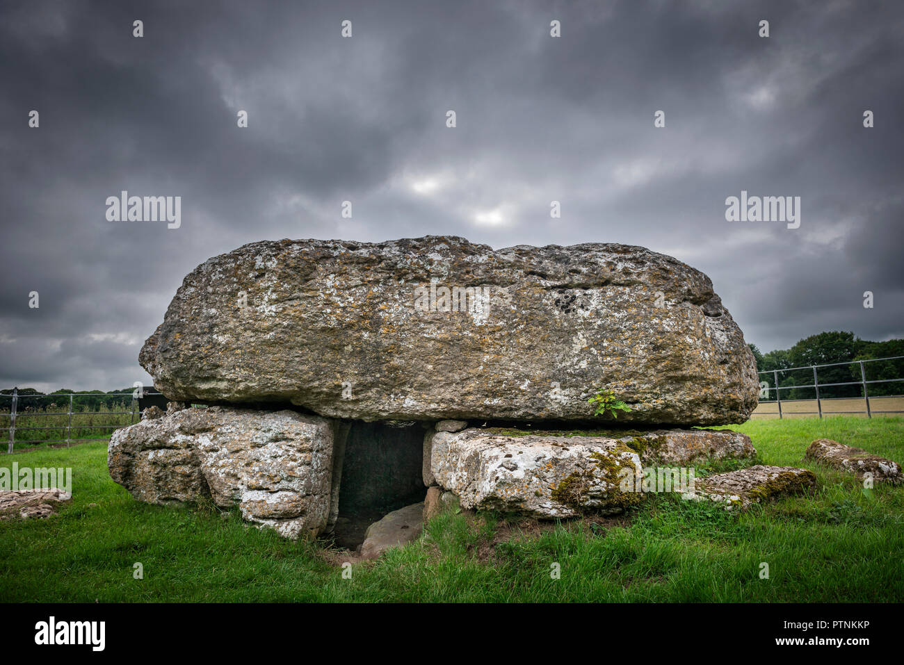 Lligwy Neolithic burial chamber on Anglesey, Wales, UK Stock Photo Alamy