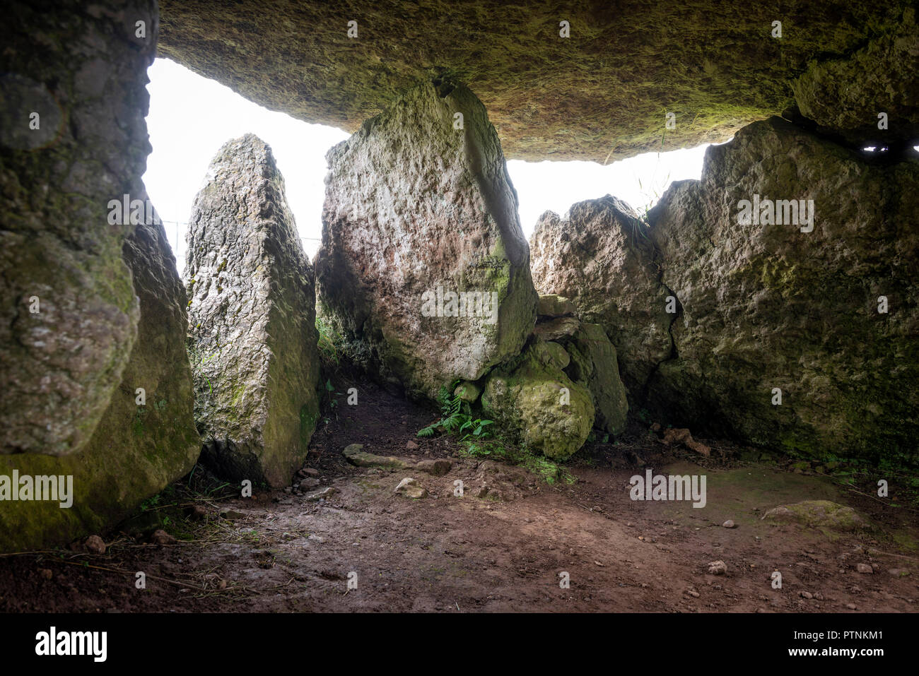 Lligwy Neolithic burial chamber on Anglesey, Wales, UK Stock Photo