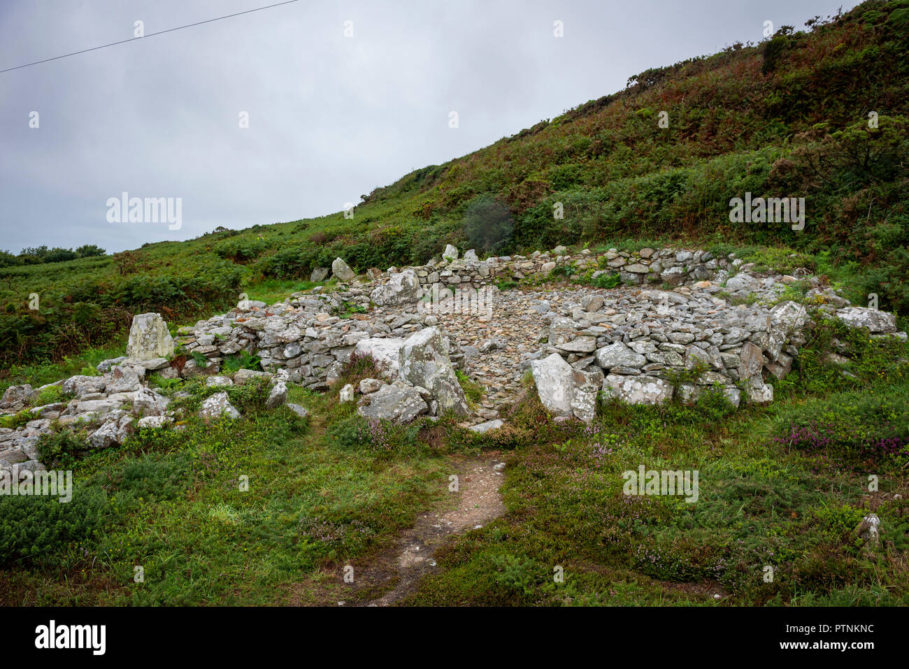 Holyhead Mountain Iron Age settlement, Anglesey, Wales, UK Stock Photo