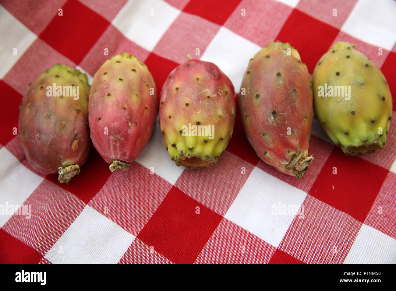 Prickly Pears Stock Photo
