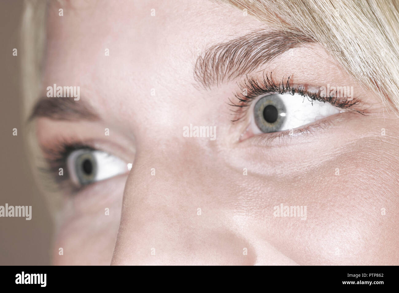Sinnesorgane High Resolution Stock Photography And Images Alamy