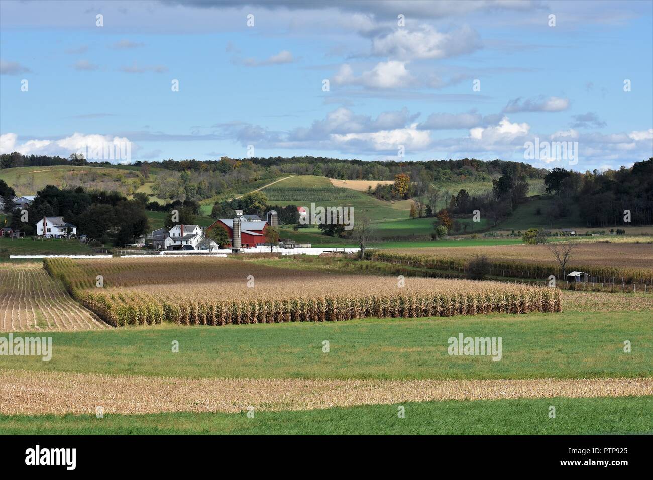 Amish farm ohio hires stock photography and images Alamy