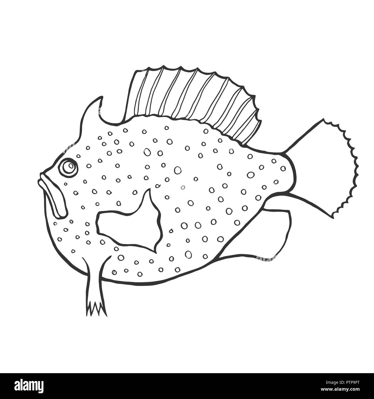 Fish vector illustration template for Coloring book. Drawing