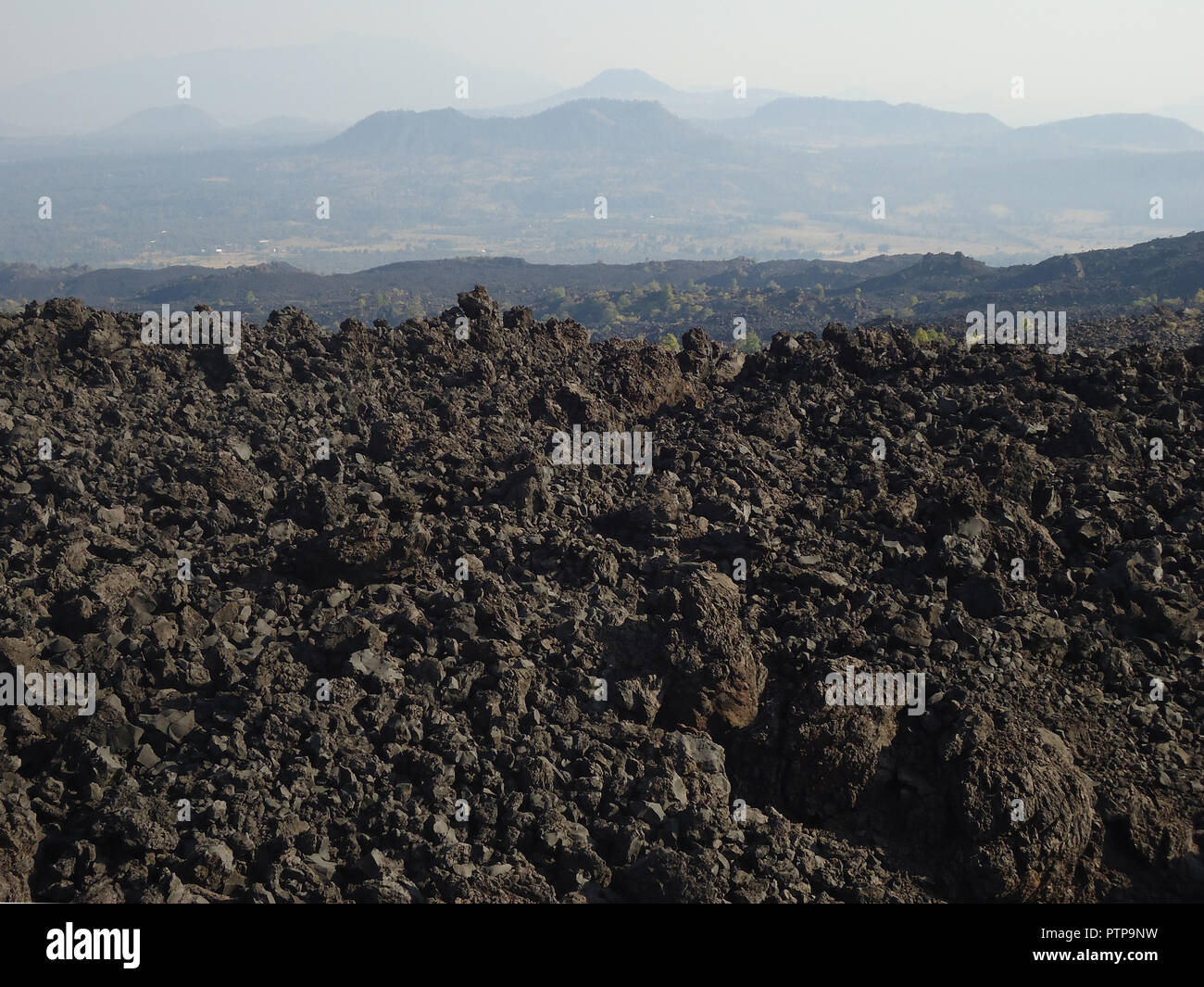 Lava field near the Paricutin volcano in Mexico. Stock Photo