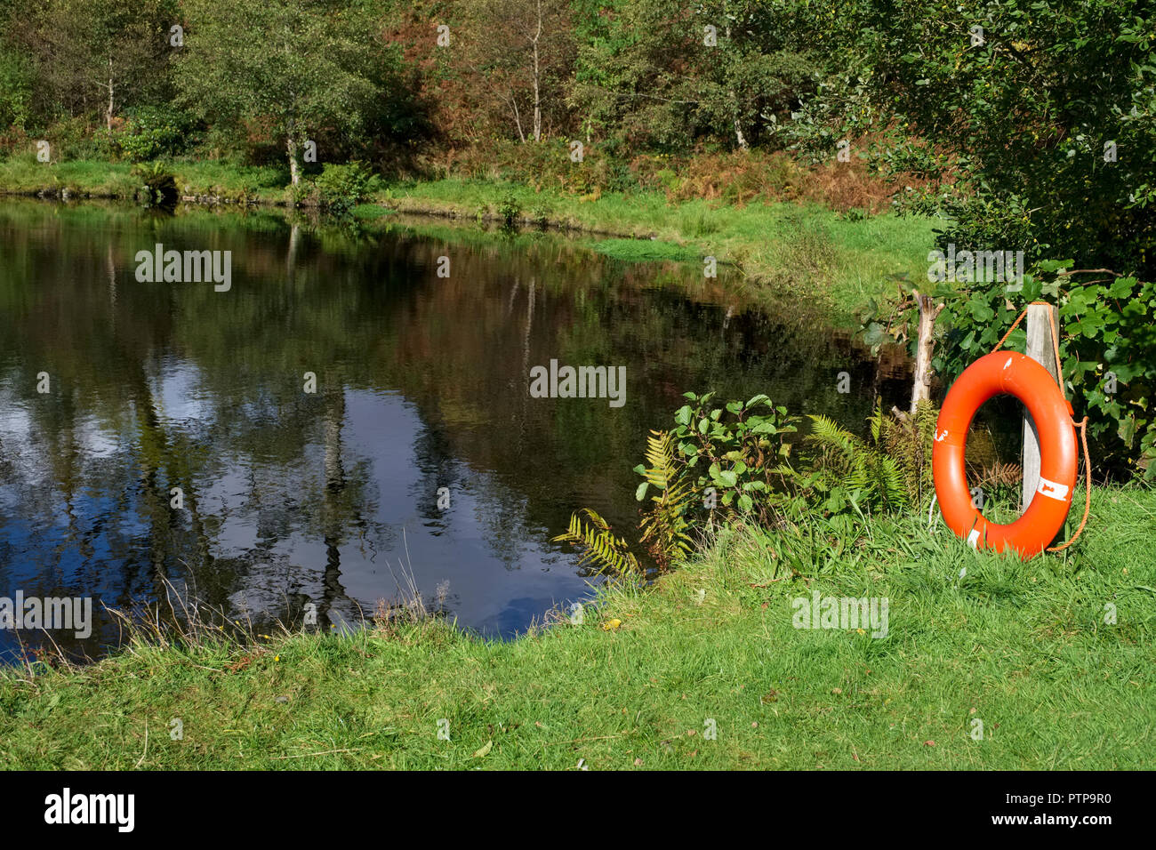 Red buoy water safety at public lake at outdoor park in summer Stock Photo