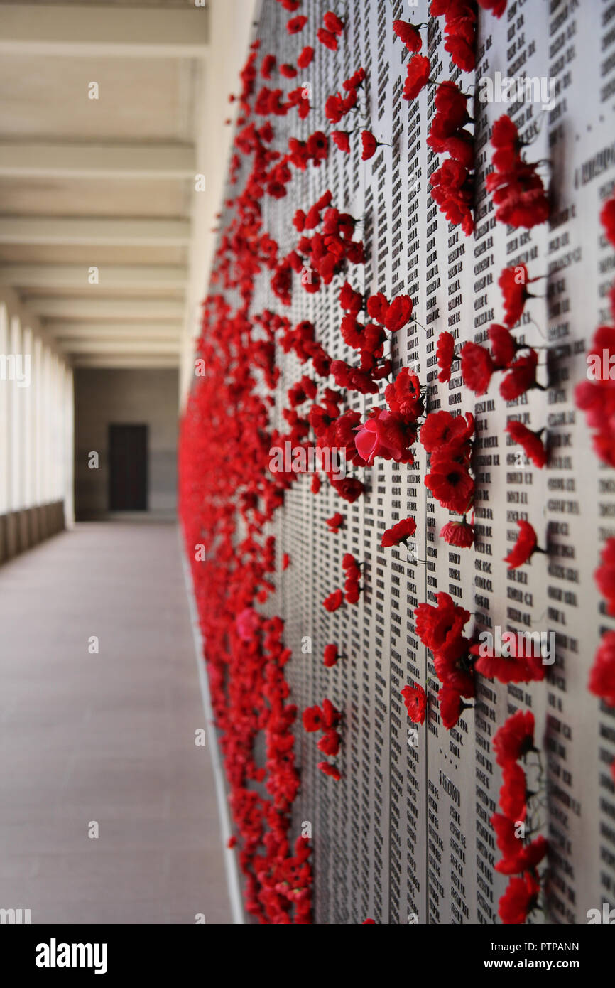 Roll of honour at the Australian War Memorial, Canberra Stock Photo