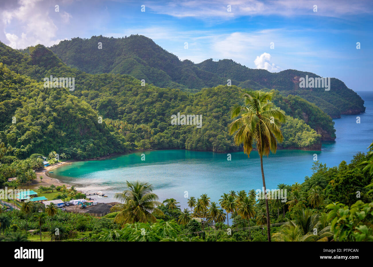 Sea and palm trees in Saint Vincent and the Grenadines, beautiful exotic paradise with mountains and beautiful perfect beaches and colorful turquoise Stock Photo