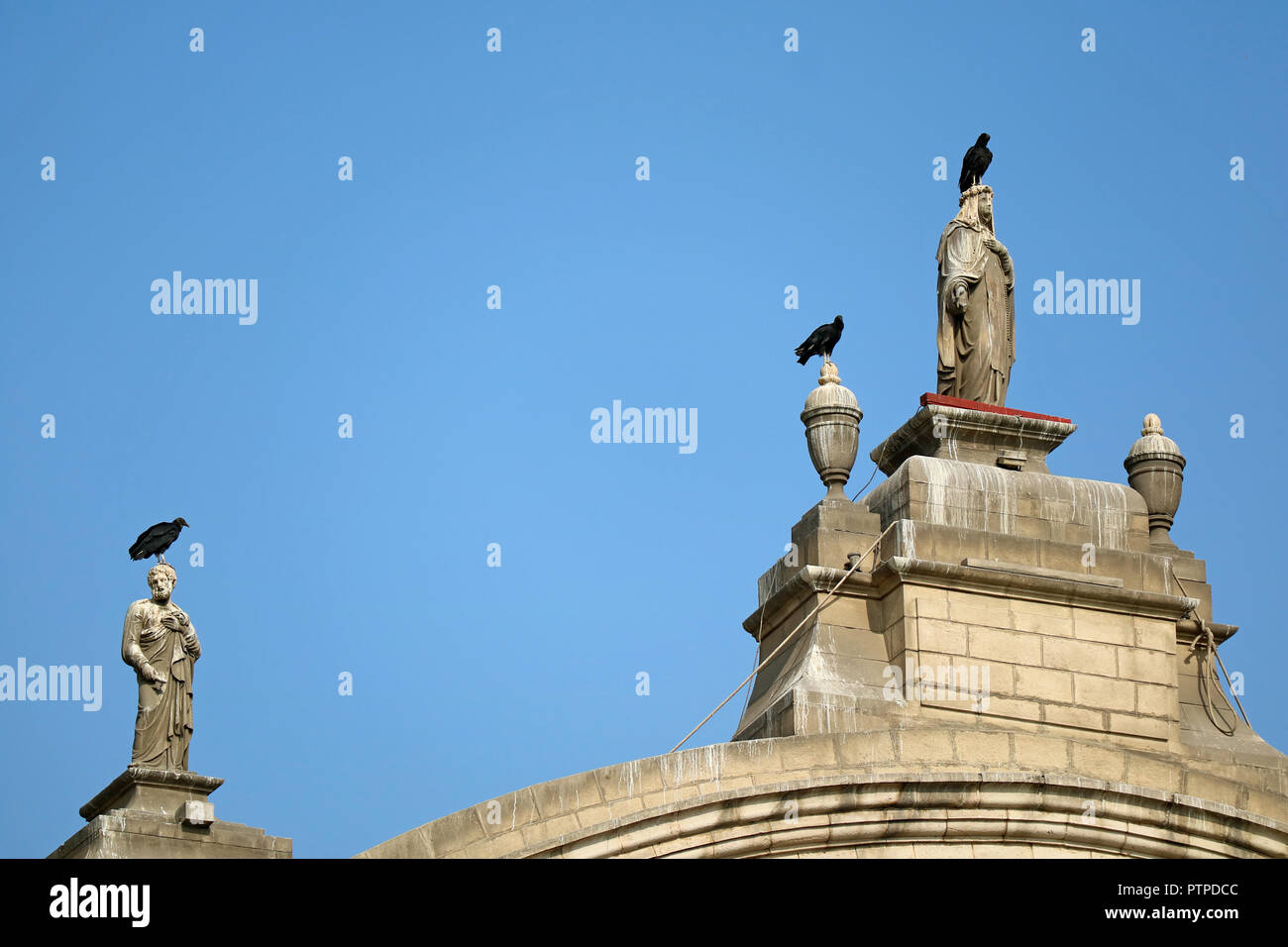 Rooftop Statue High Resolution Stock Photography and Images - Alamy