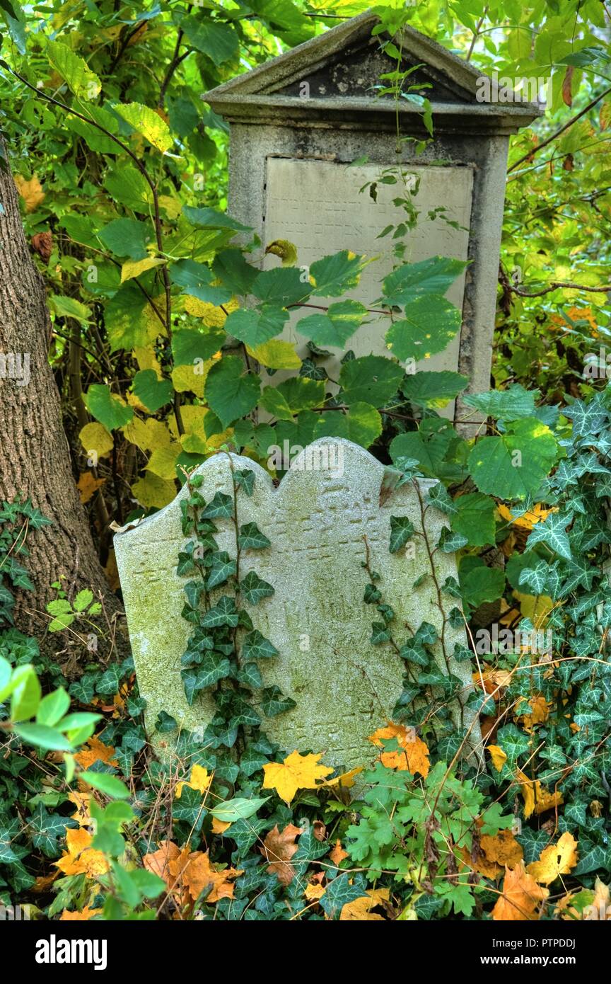 Wien, Jüdischer Friedhof Währing - Vienna, Jewish Cemetery Waehring ...