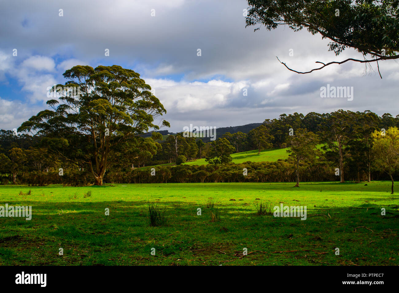 Lush green meadows hi-res stock photography and images - Alamy