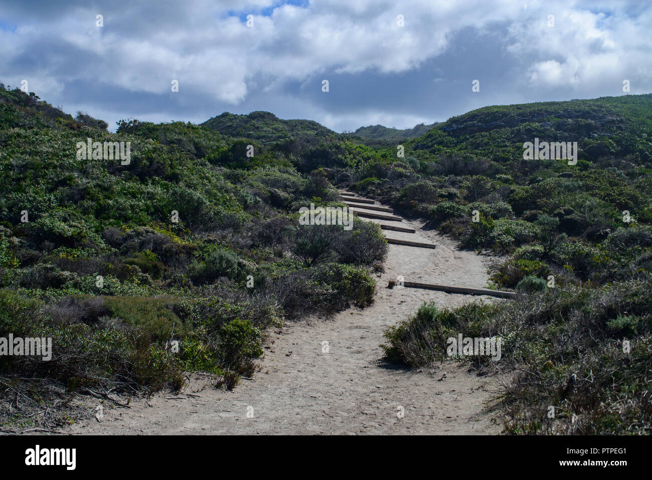 Sandy path through bushland at the shore of William Bay National Park ...