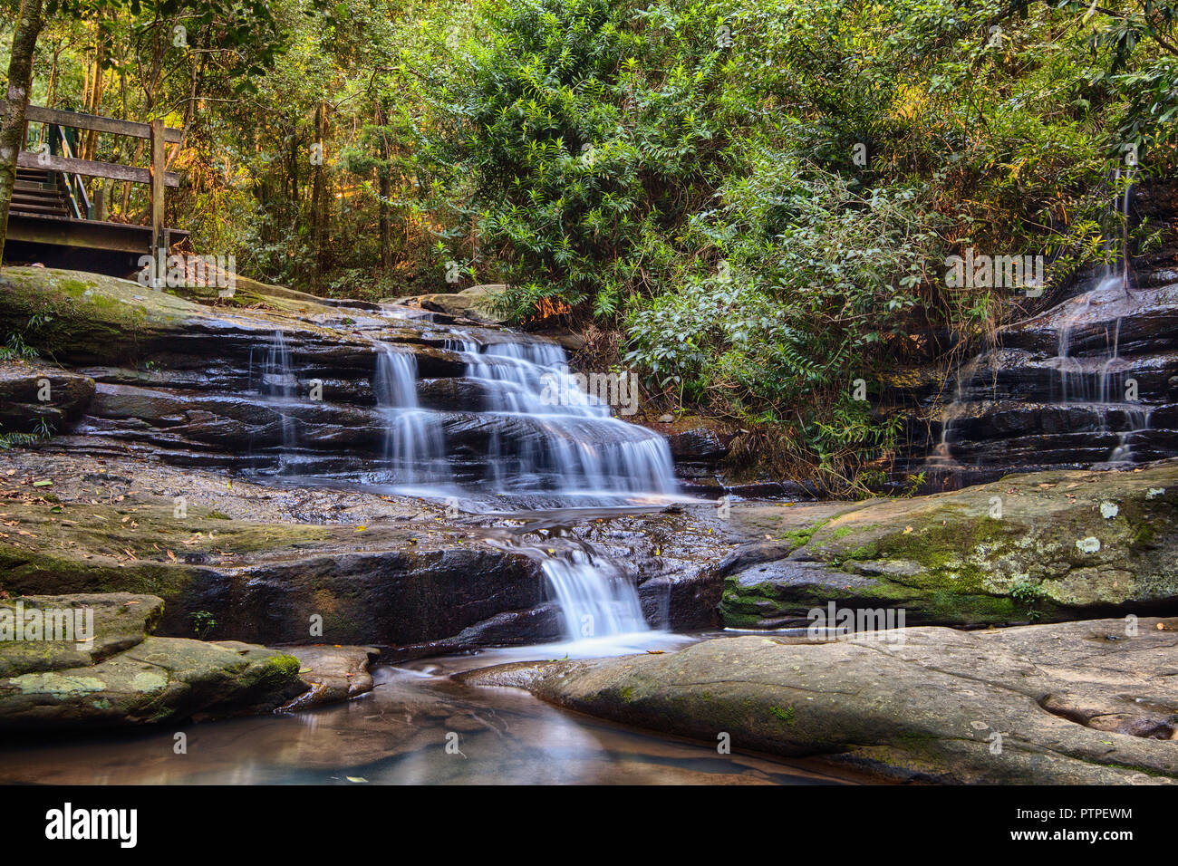 Serenity Falls at Buderim Rainforest Park Stock Photo