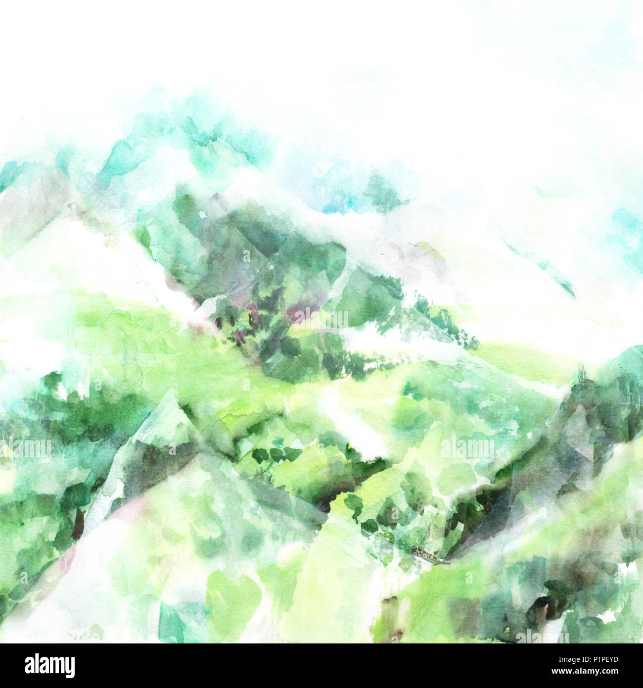 Watercolor painting green misty forest hi-res stock photography and ...