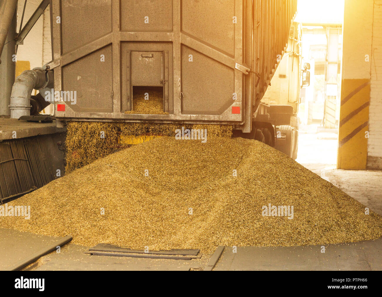 A truck unloads grain at a grain storage and processing plant, a grain