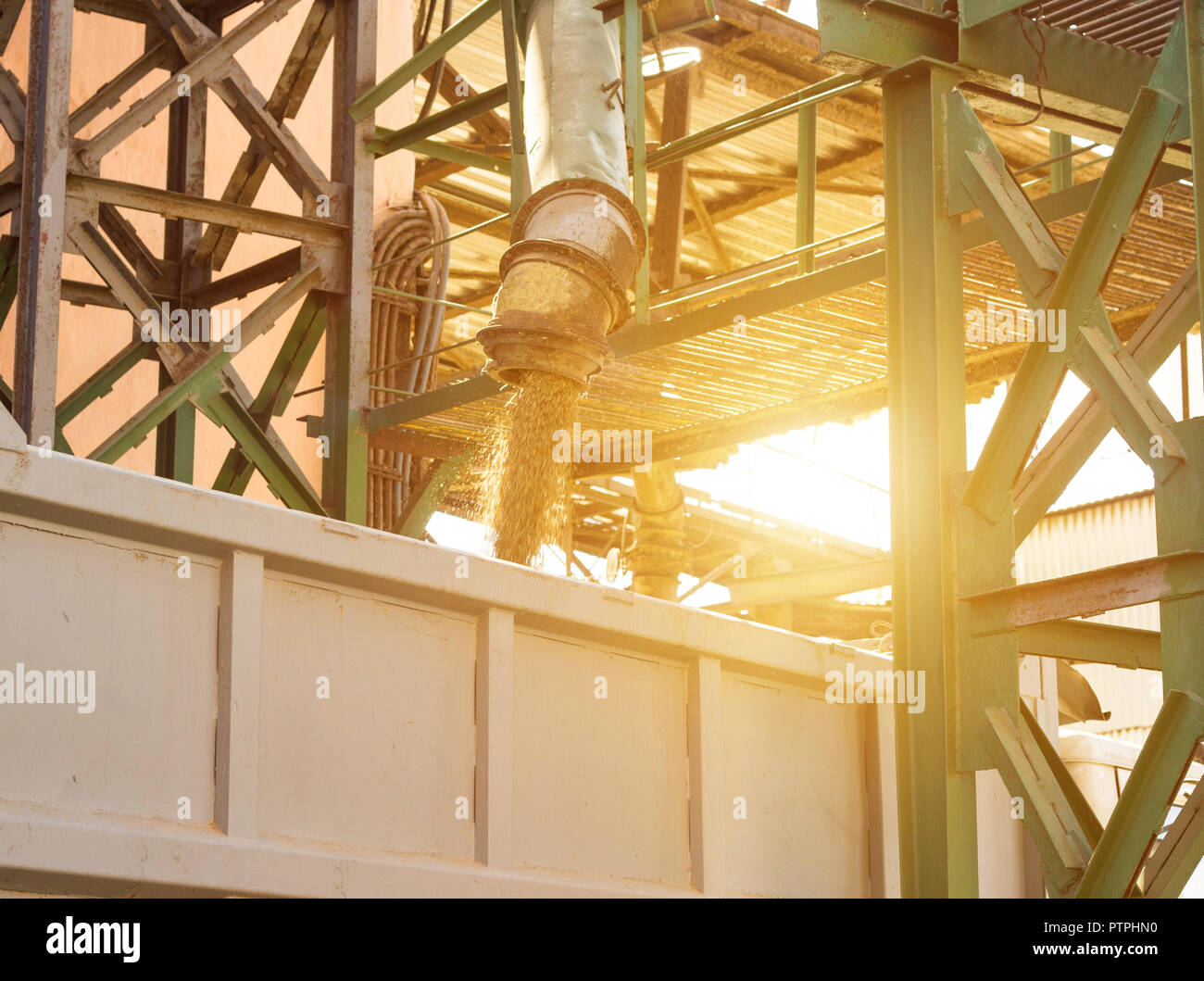 Plant for processing and storing grain, a truck is loaded with grain