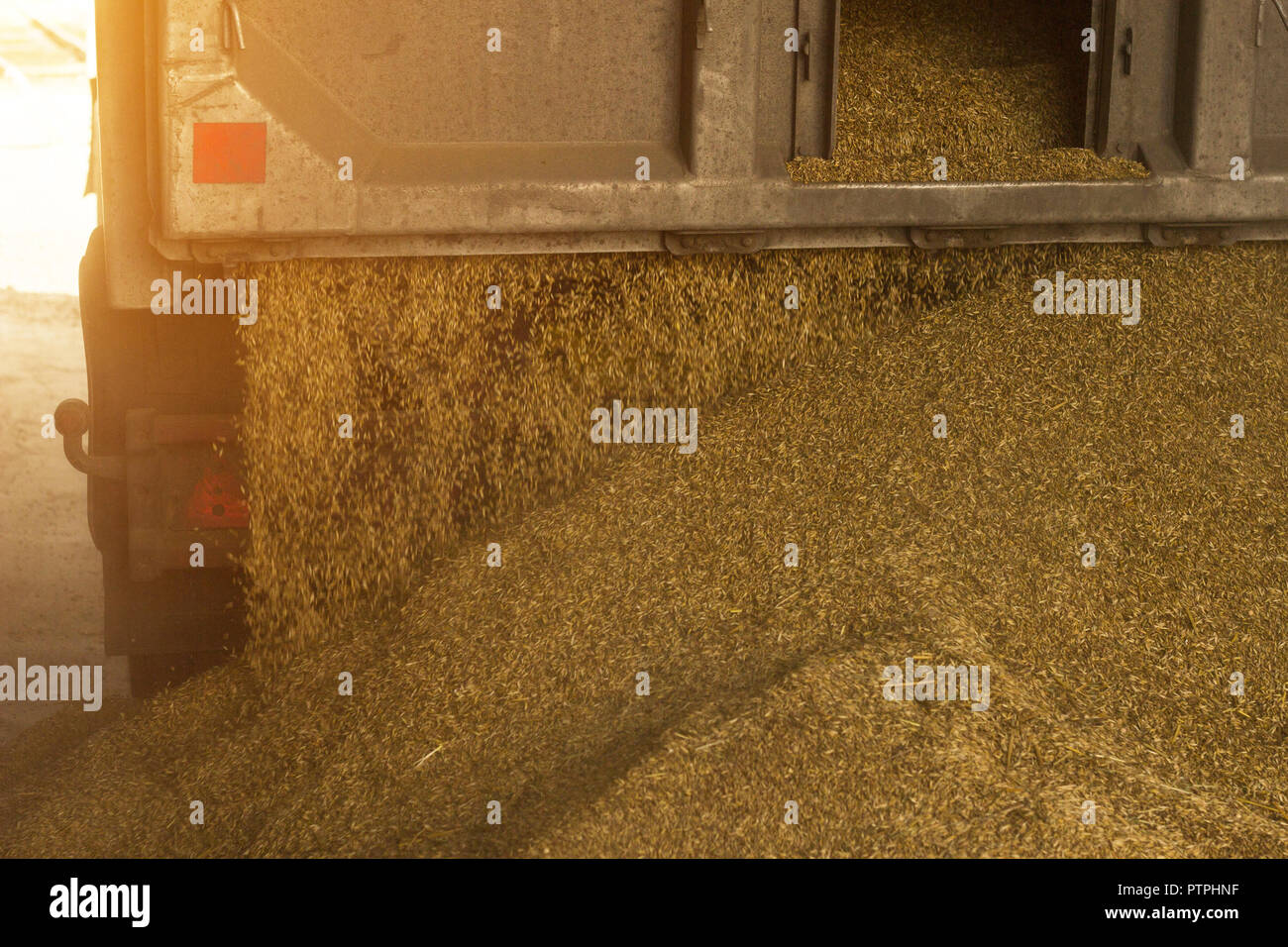 A truck unloads grain at a grain storage and processing plant, a grain