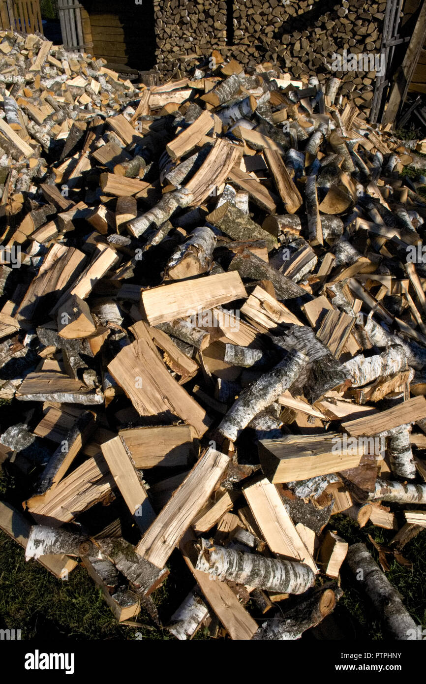 Pile And Wall Of Cut Birch Wood And Stacked Wood Logs Ready For