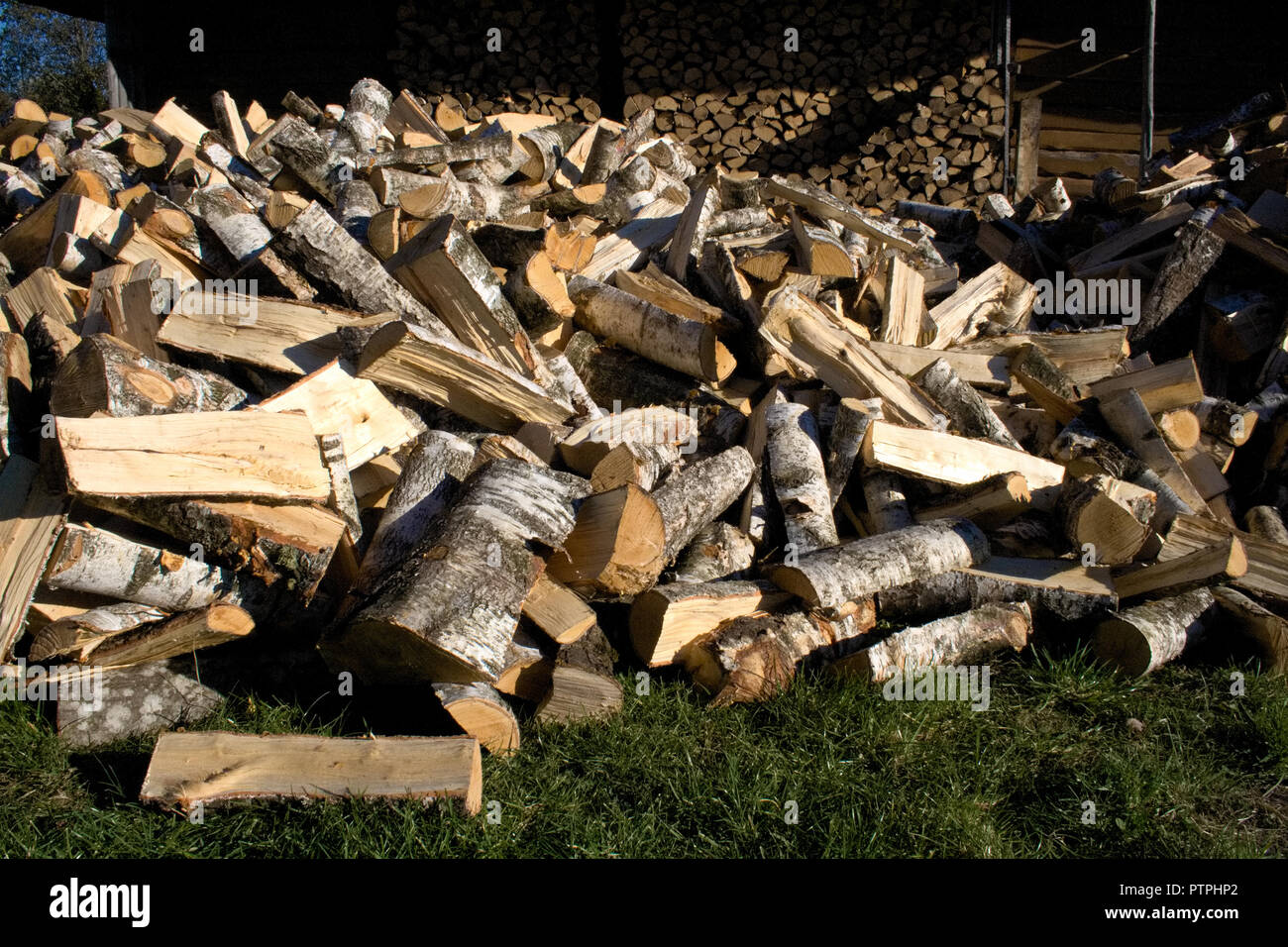 Pile And Wall Of Cut Birch Wood And Stacked Wood Logs Ready For