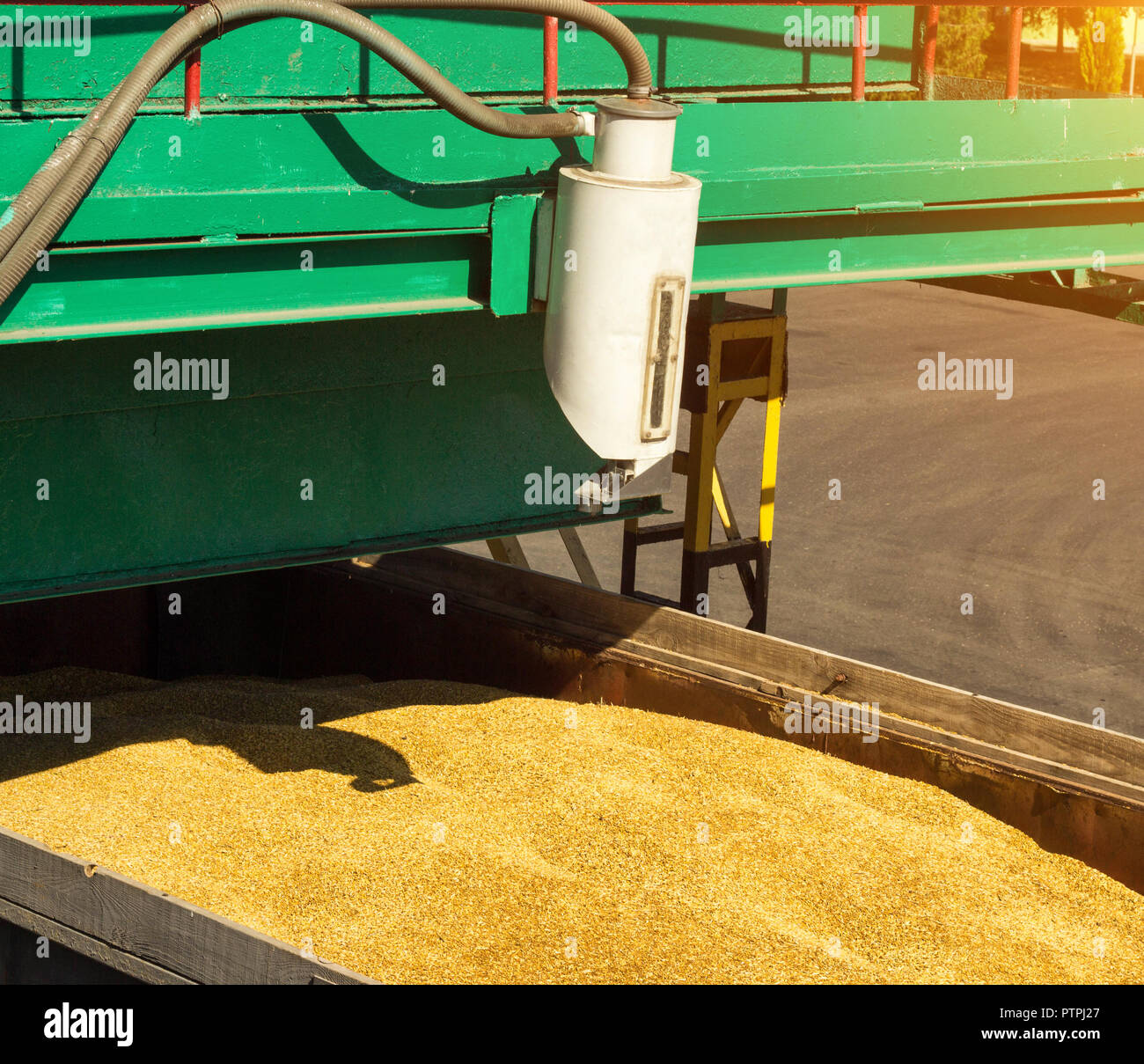 From a grain-laden lorry take grain for analysis, grain processing ...