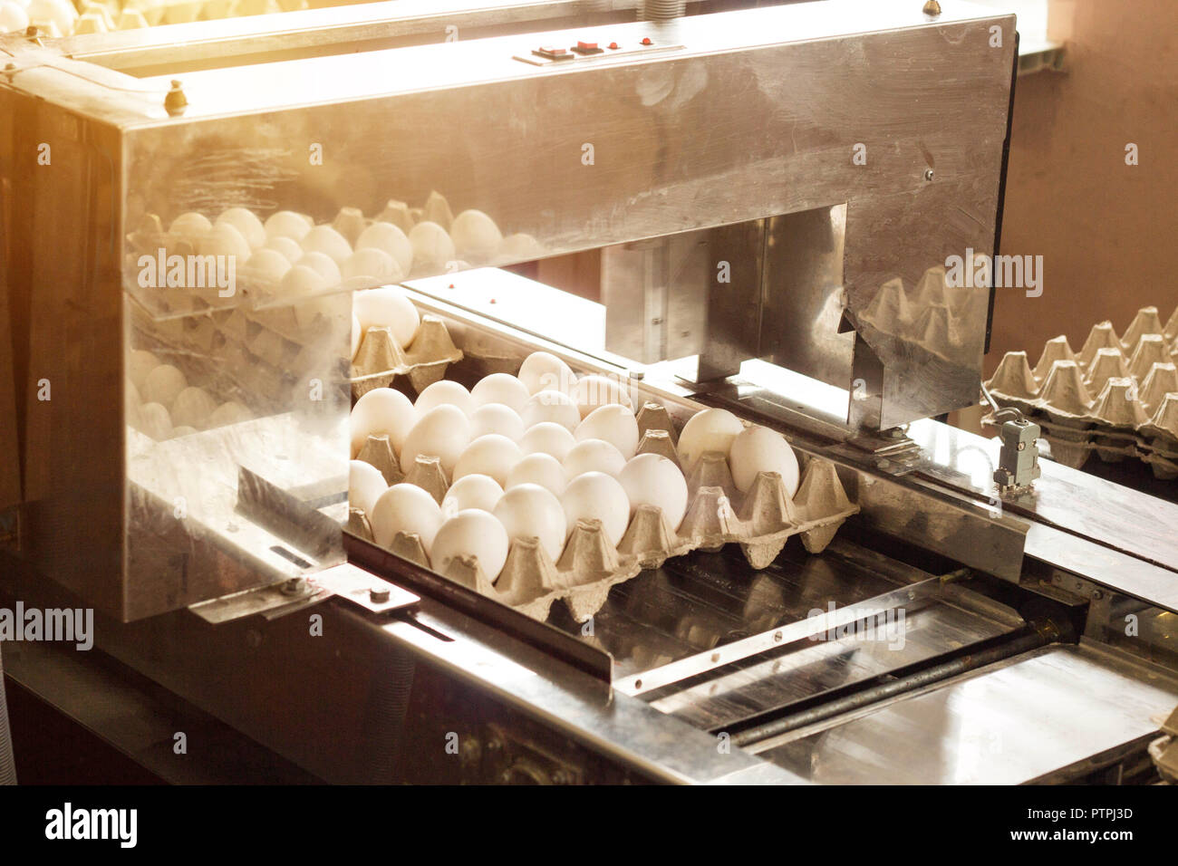 Production for sorting chicken eggs, the process of selection of