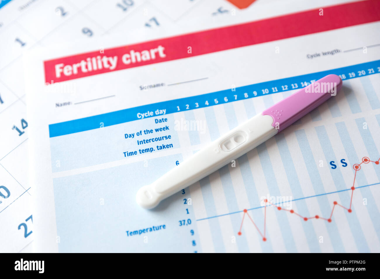 Pregnancy test on fertility chart. Expect a baby concept. Stock Photo