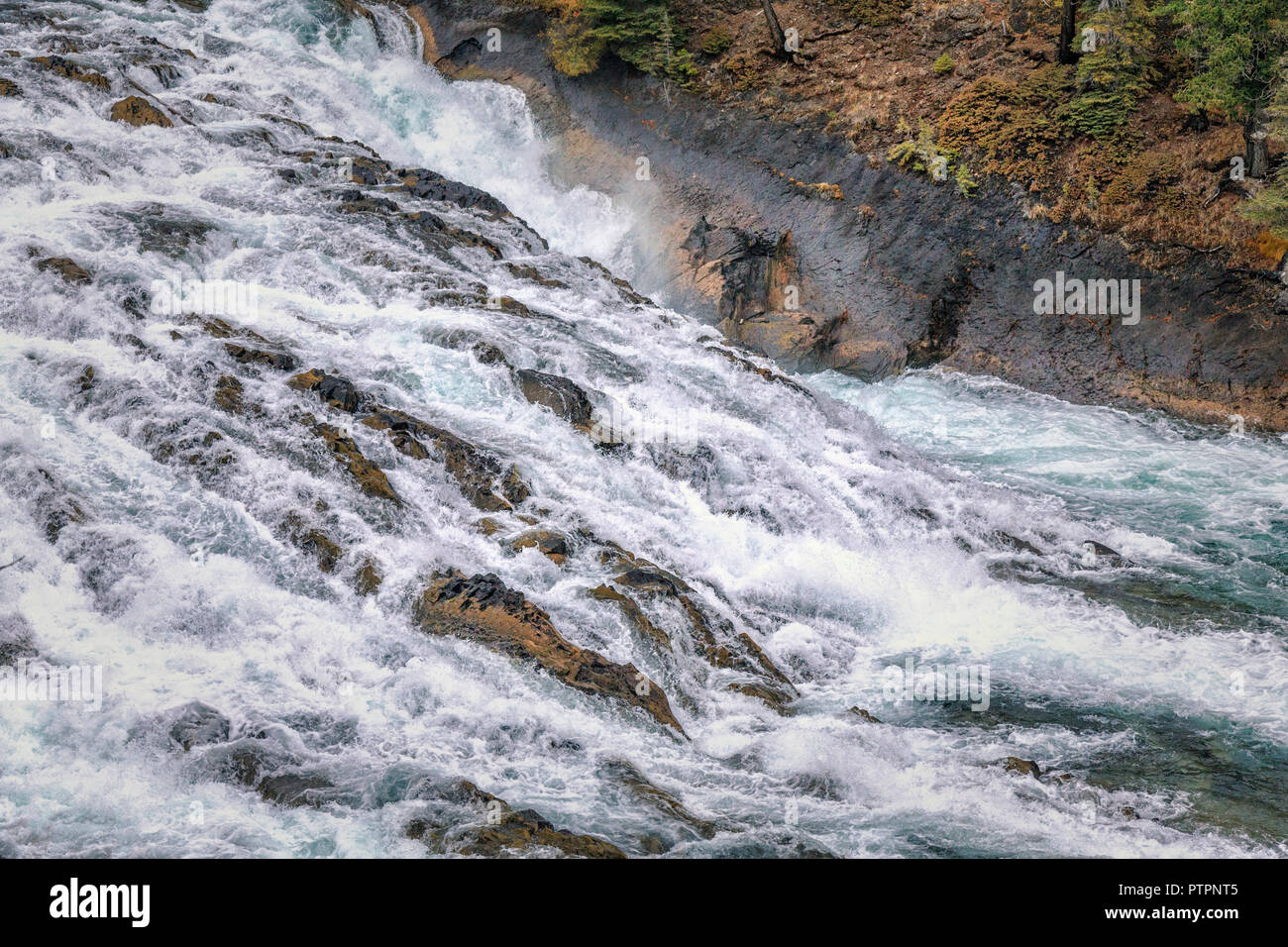 Bow Valley Falls, Banff National Park, Alberta, Canada Stock Photo