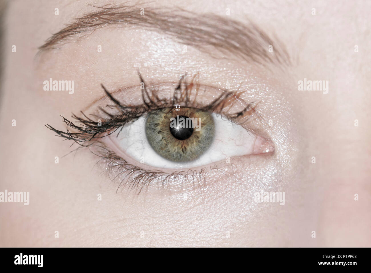 Sinnesorgane High Resolution Stock Photography And Images Alamy