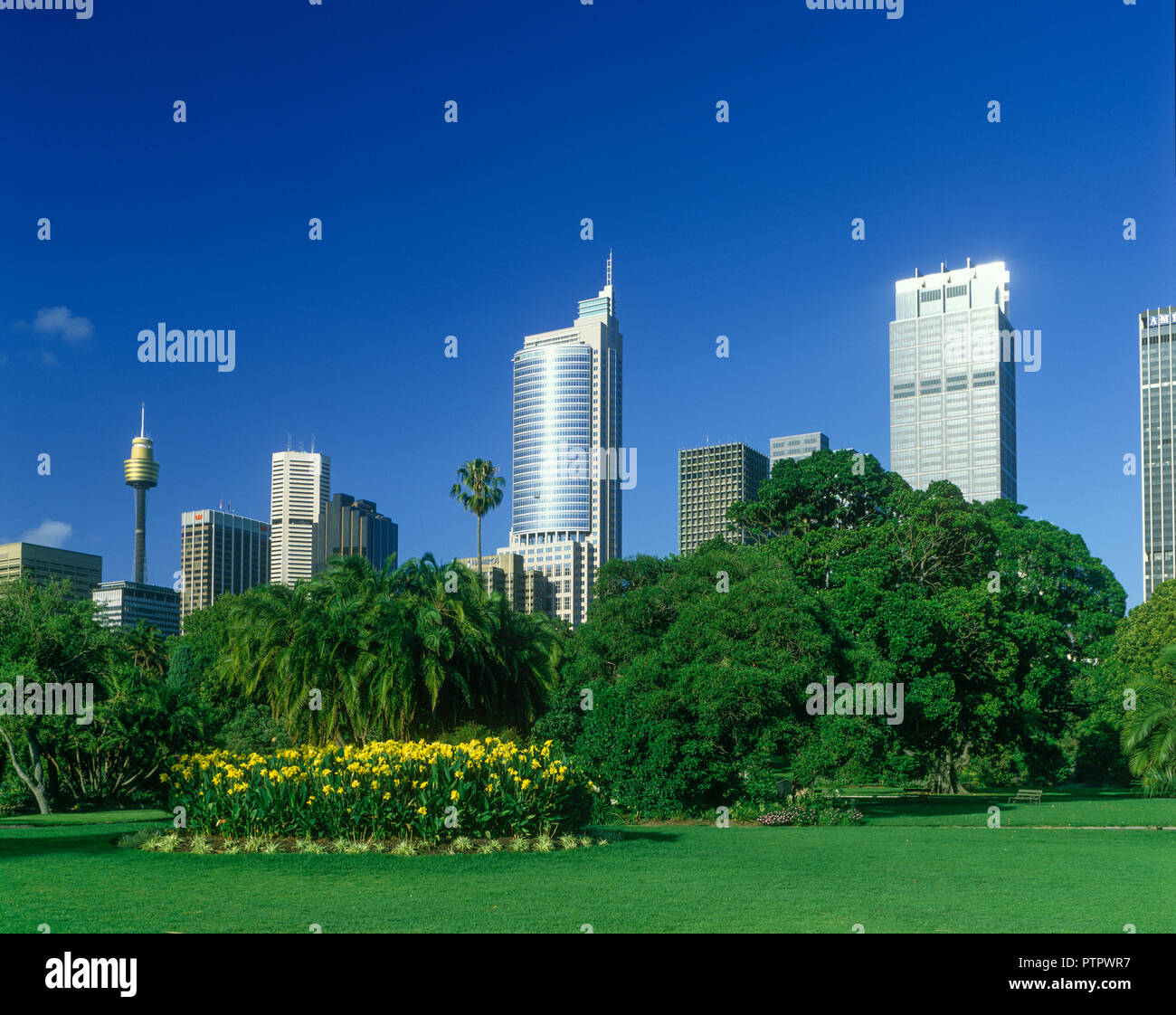 Sydney city skyline flowers hi-res stock photography and images - Alamy