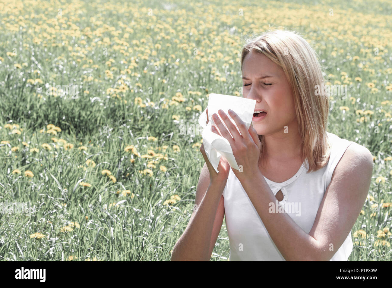 Frau mit Allergie, Allergiker, Fruehling, Sommer, Wiese, Pollenallergie (Modellfreigabe) Stock Photo