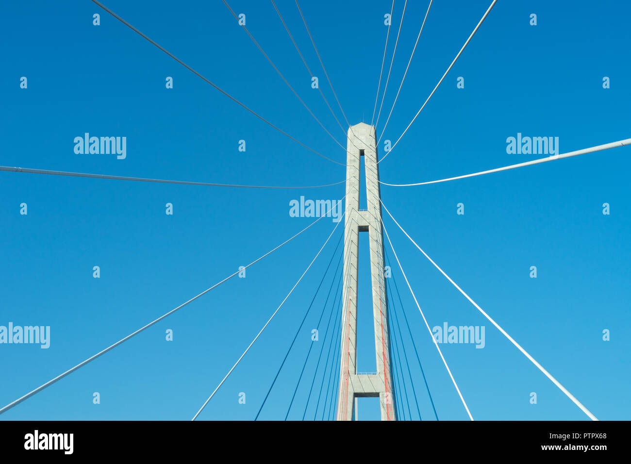 Fragment of a cable stayed bridge Golden Bridge . Golden Bridge was built in preparation for the APEC summit July 7, 2013 in Vladivostok, Russia. Stock Photo