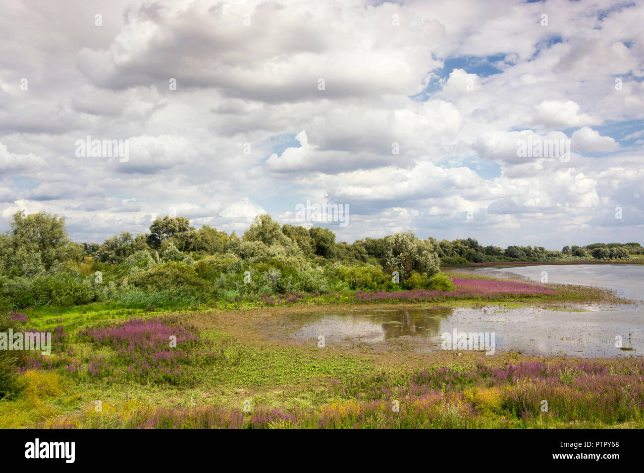Beautiful scenic view on the area of the Groenlanden and the Oude Waal in the Ooijpolder near Nijmegen. Clouds, sunshine, vegetation and water. Stock Photo