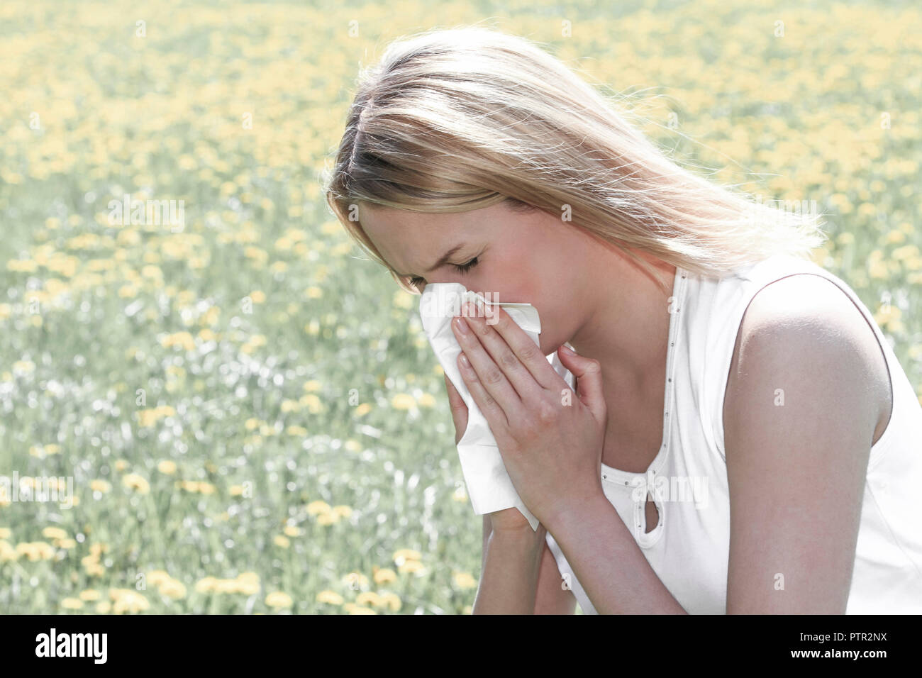 Frau mit Allergie, Allergiker, Fruehling, Sommer, Wiese, Pollenallergie (Modellfreigabe) Stock Photo