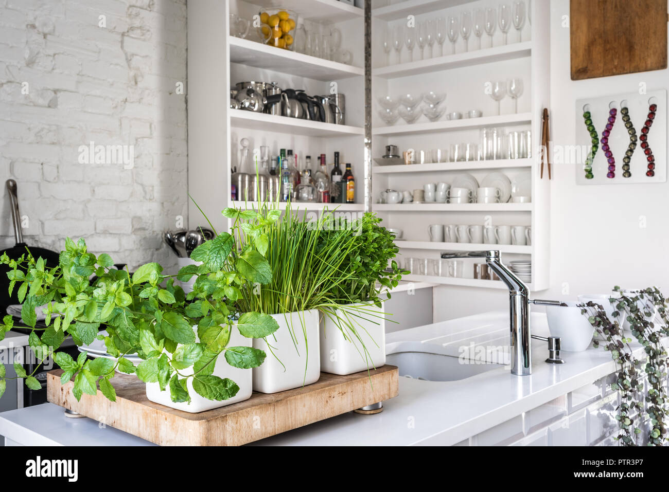Assorted fresh herbs in kitchen with bespoke space-saving cupboard ...