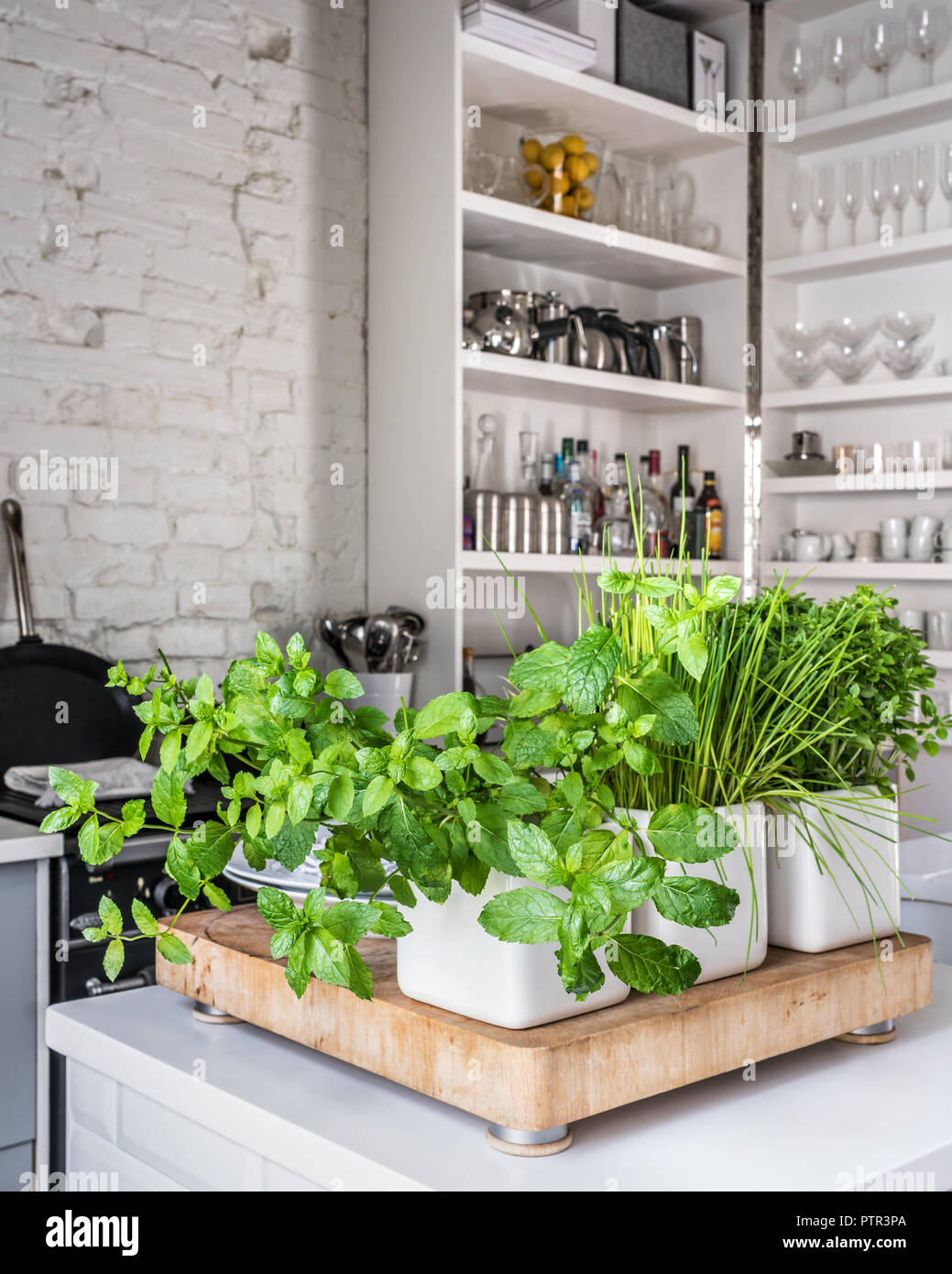 Shelving cupboard shelves hires stock photography and images Alamy