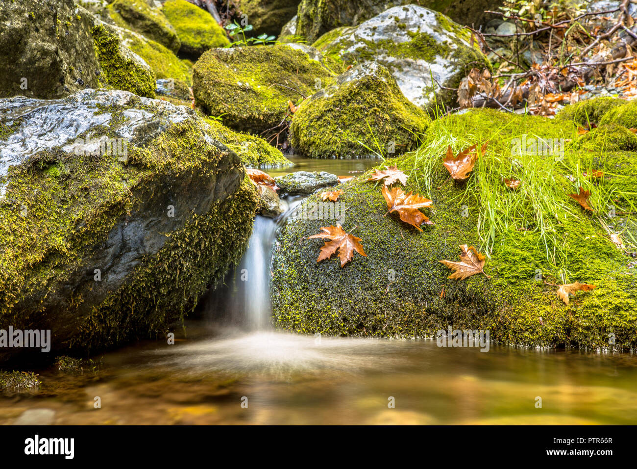 Tranquil forest stream in autumn forest on peloponnese peninsula in Greece Stock Photo