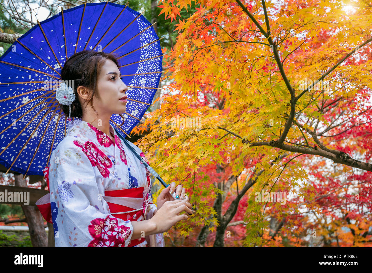 Asian woman wearing japanese traditional kimono with umbrella in autumn park. Japan Stock Photo