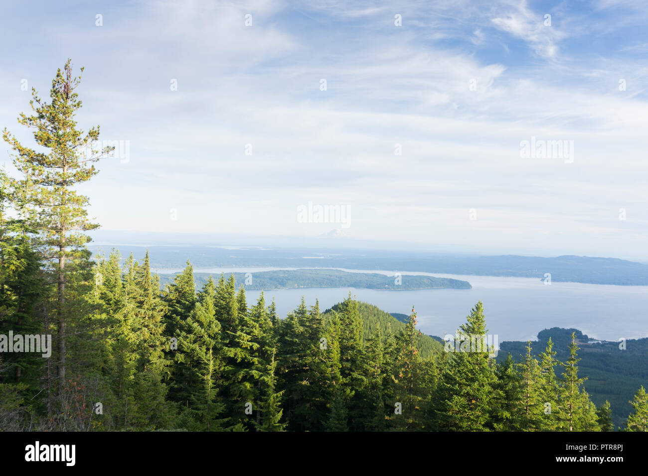 Mount Rainier Olympic National Park Explorations