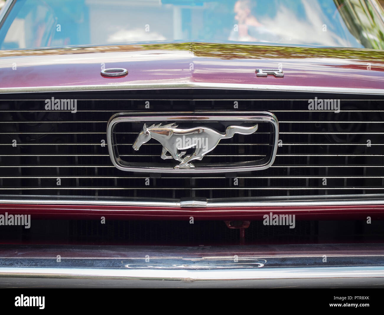 VILNIUS, LITHUANIA-JUNE 10, 2017: Real Ford Mustang first Generation horse logo on the radiator grill Stock Photo